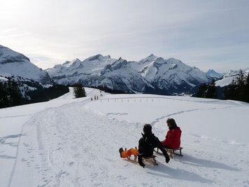 Piste de luge sur la Wispile